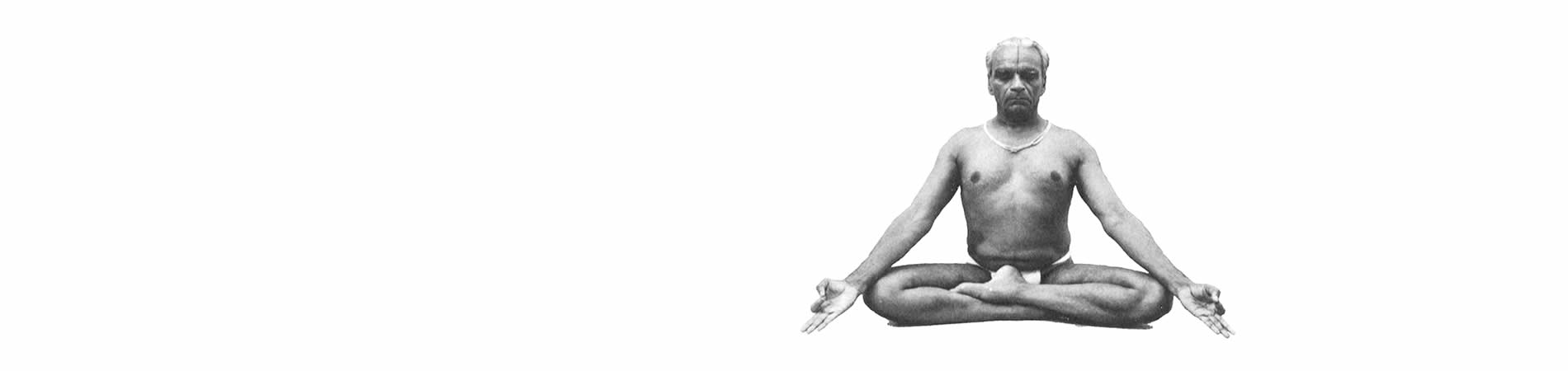 Iyengar yoga Instruction in Lytham St Annes